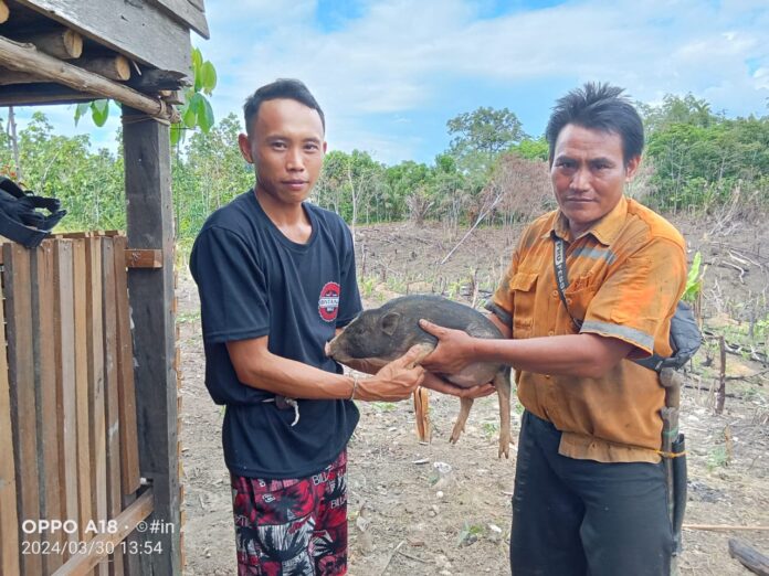 Program Ketahanan Pangan Desa